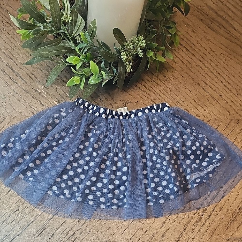 Blue Polka Dot Tulle Skirt 24 Months First Impressions